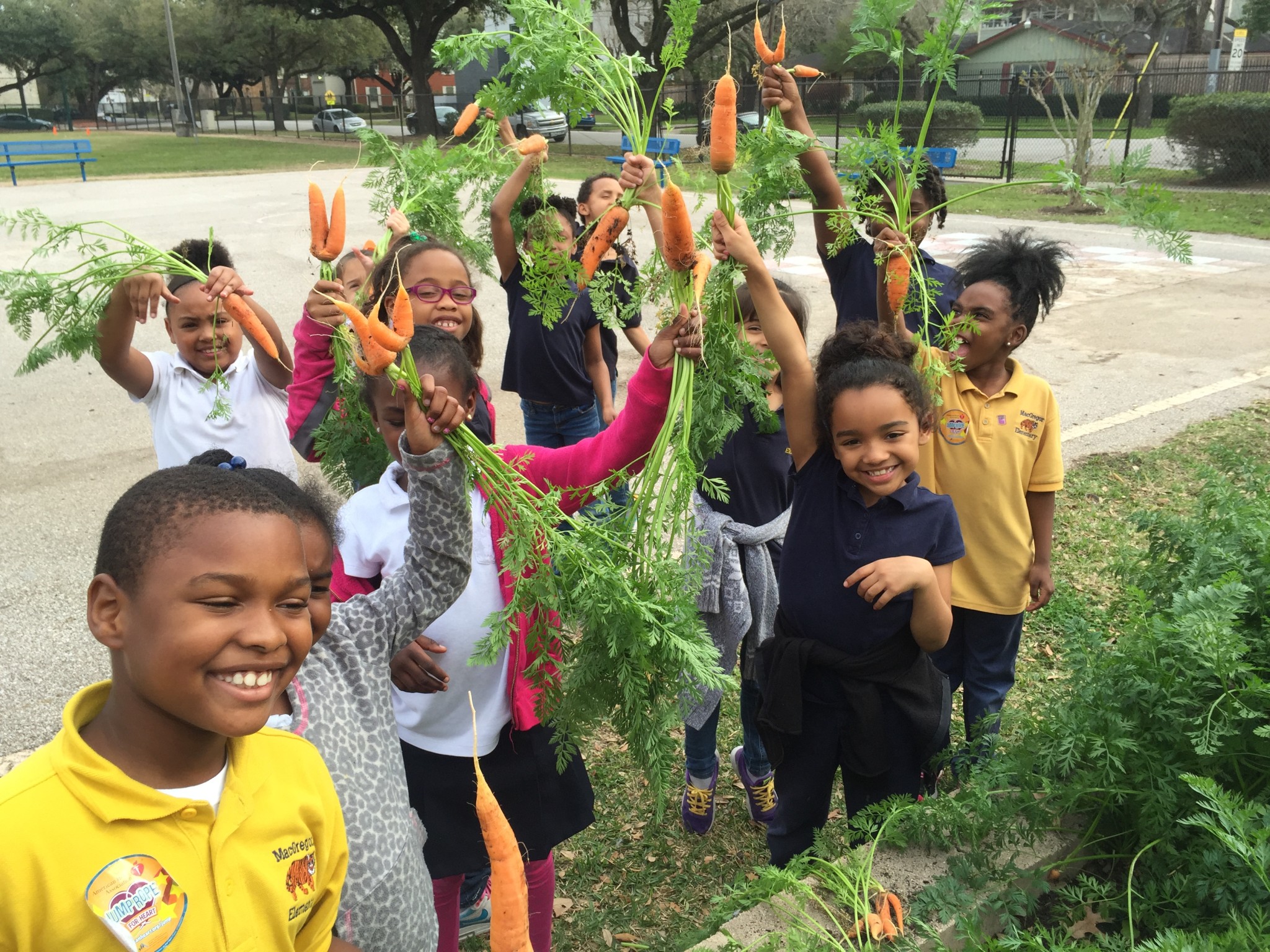 Carrot and Kohlrabi Soup - Veg Out with Recipe for Success