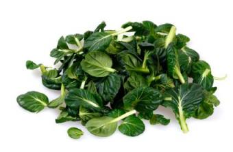 Tatsoi Salad - Veg Out with Recipe for Success